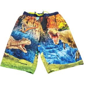 Jurassic World 3D Dinosaurs Swim Trunks Shorts Elastic Drawstring Waist Sz 14/16